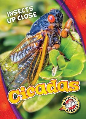 Cicadas by Christina Leaf 9781626176607