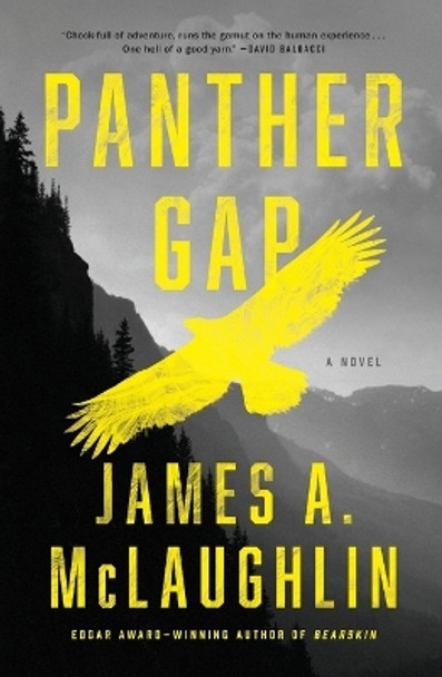 Panther Gap by James A McLaughlin 9781250832689