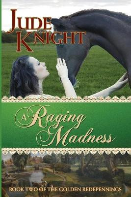 A Raging Madness by Jude Knight 9780473393656