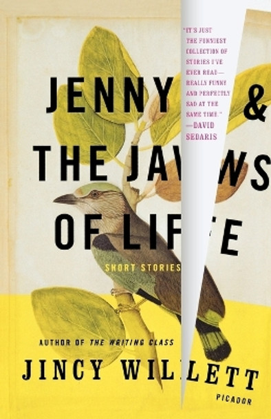 Jenny and the Jaws of Life by Jincy Willett 9780312428105