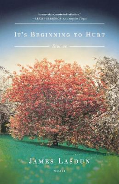 It's Beginning to Hurt by James Lasdun 9780312429867