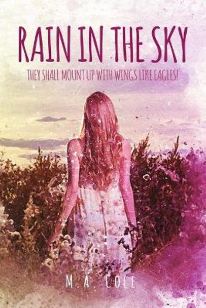 Rain in the Sky by M a Cole 9780578616230