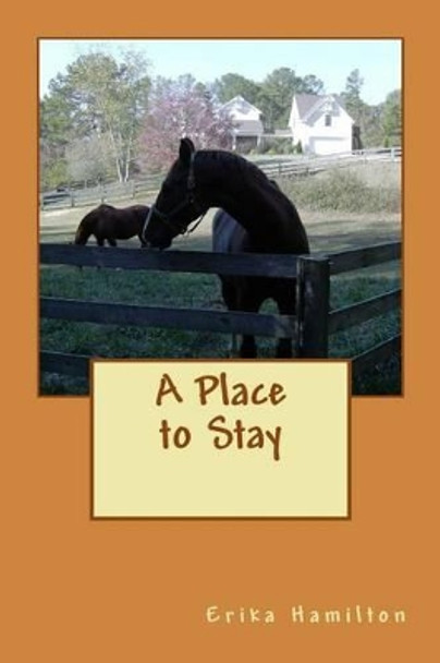 A Place to Stay by Erika M Hamilton 9780615703268