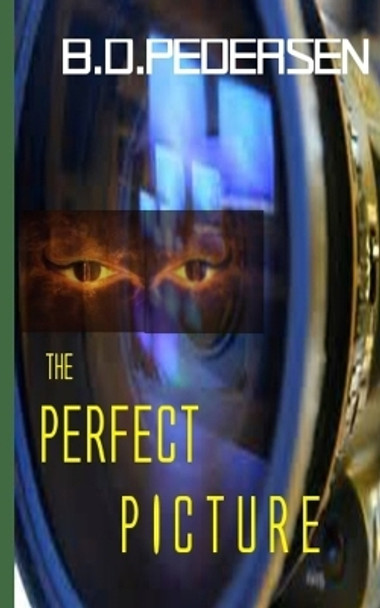 The Perfect Picture by B D Pedersen 9780692320846