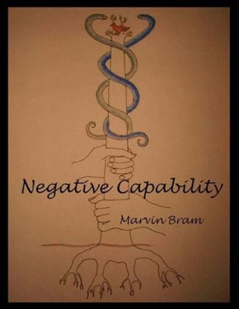 Negative Capability by Marvin Bram 9780615570372