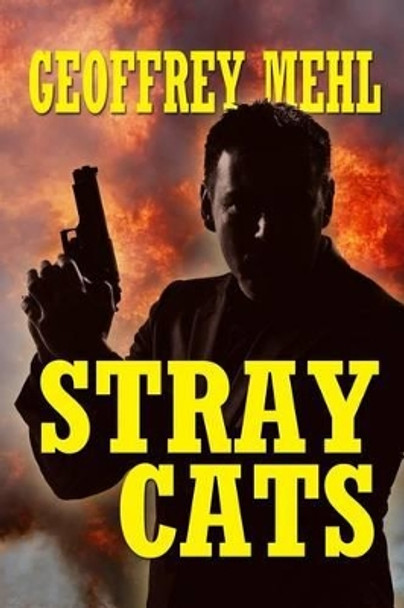 Stray Cats by Geoffrey Mehl 9780615642796