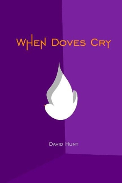 When Doves Cry: Be Vulnerable by David V Hunt 9780692769171