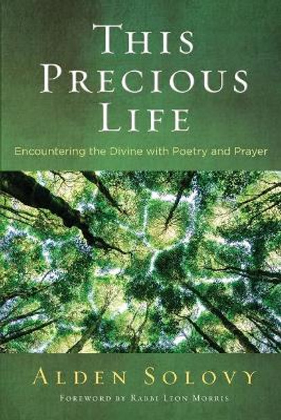 This Precious Life: Encountering the Divine with Poetry and Prayer by Alden Solovy 9780881233681