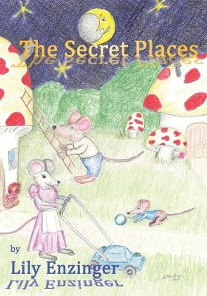 The Secret Places by Johanus Haidner 9780987887375