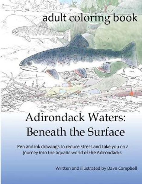 Adirondack Waters: Beneath the Surface by Dave Campbell 9780997439311