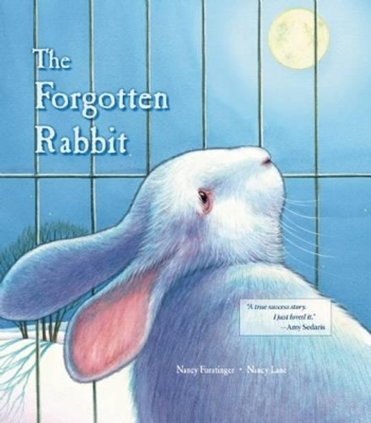 The Forgotten Rabbit by Nancy Furstinger 9780940719194