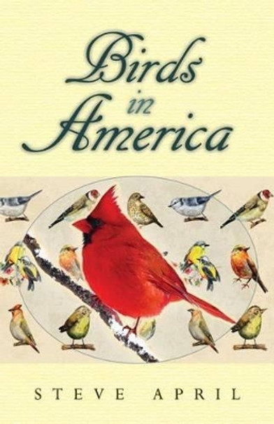 Birds In America by Steve April 9780974468624