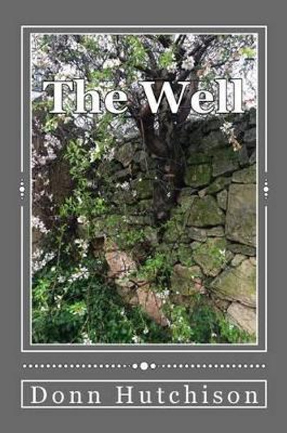 The Well by Donn Hutchison 9780997099027