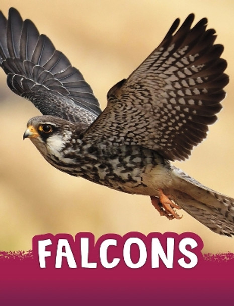 Falcons by Jaclyn Jaycox 9781398243965