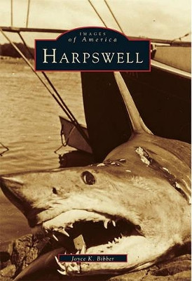 Harpswell by Joyce K. Bibber 9780738512600