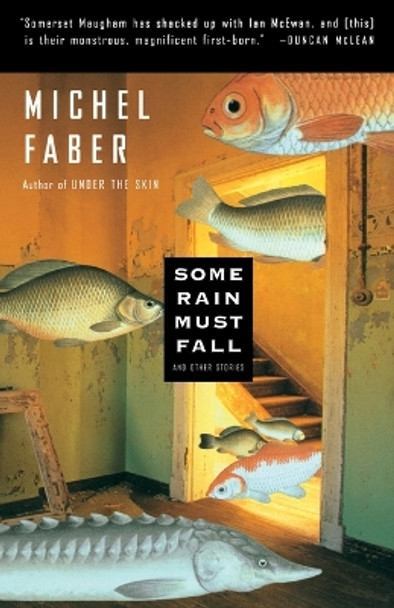 Some Rain Must Fall by Michel Faber 9780156011488