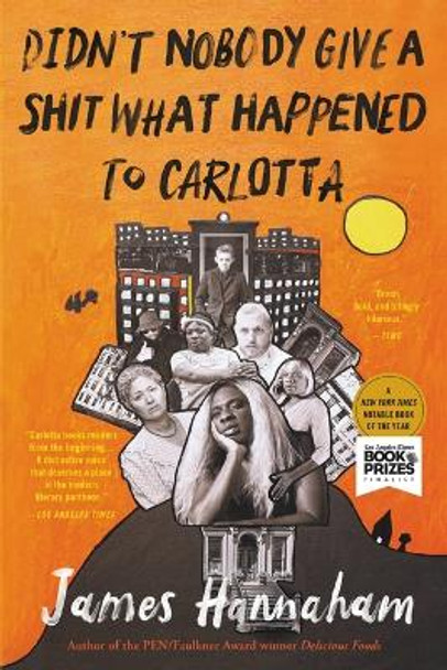 Didn't Nobody Give a Shit What Happened to Carlotta by James Hannaham 9780316286282