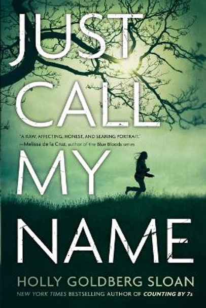 Just Call My Name by Holly Goldberg Sloan 9780316122825