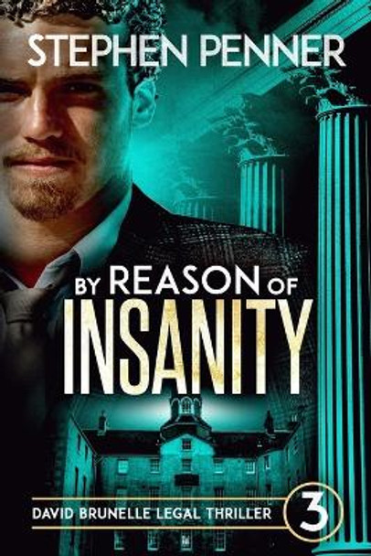 By Reason of Insanity: David Brunelle Legal Thriller #3 by Stephen Penner 9780615821658