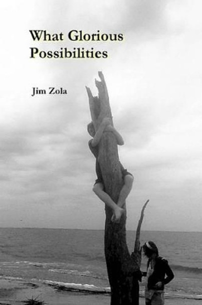 What Glorious Possibilities by Jim Zola 9780615958354