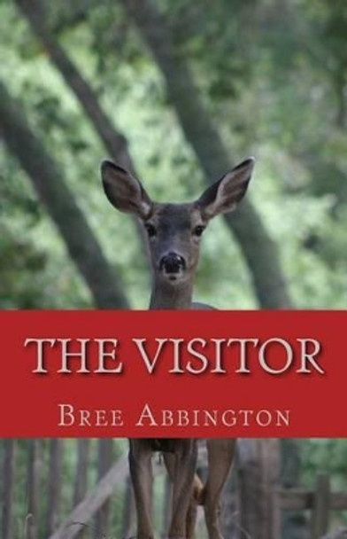 The Visitor: Gifts in Strange Wrappings by Bree Abbington 9780615959740