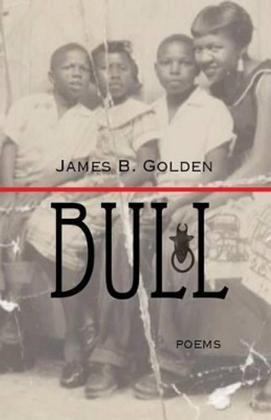 Bull: The Journey of a Freedom Icon by James B Golden 9780615987095