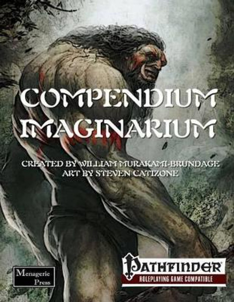 Compendium Imaginarium by Steven Catizone 9780692442821