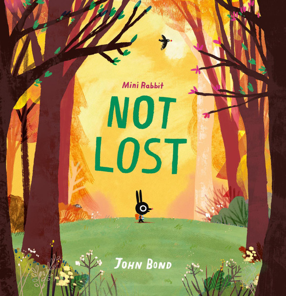 Mini Rabbit Not Lost (Mini Rabbit) by John Bond