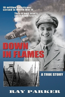 Down in Flames by Ray Parker 9780964092433