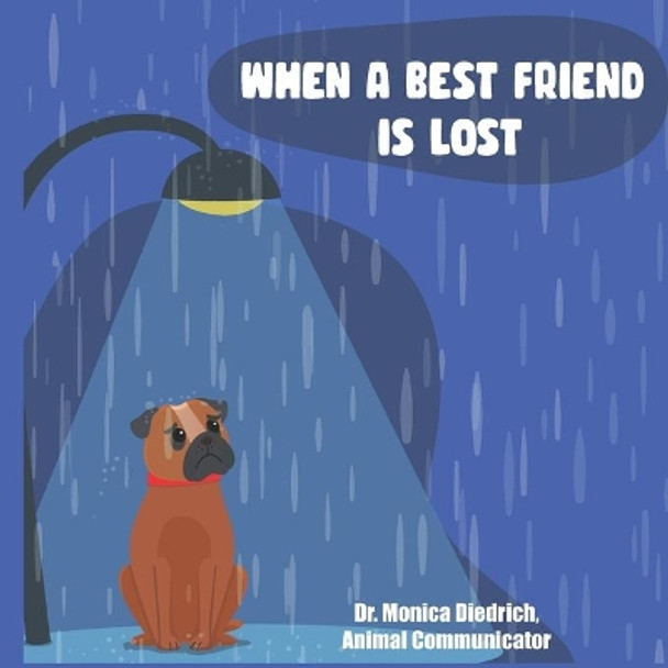 When A Best Friend Is Lost by Colleen Fox 9780979448676