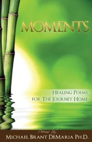 Moments by Michael Brant DeMaria 9780980219623