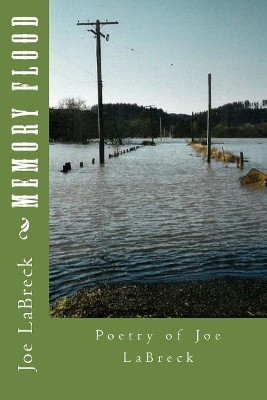 Memory Flood by Joe Labreck 9780971259898