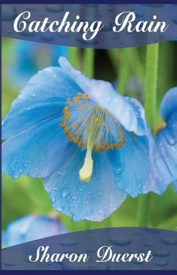 Catching Rain by Sharon Kay Duerst 9780985537821