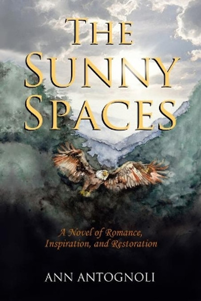 The Sunny Spaces: A Novel of Romance, Inspiration, and Restoration by Gina Antognoli 9780996024112