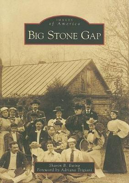 Big Stone Gap by Sharon B Ewing 9780738553931