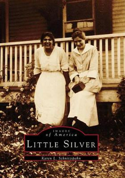 Little Silver by Karen L. Schnitzspahn 9780738563589