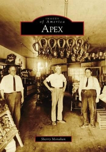 Apex by Sherry Monahan 9780738566382