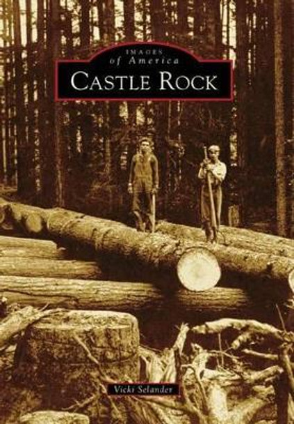 Castle Rock by Vicki Selander 9780738570921