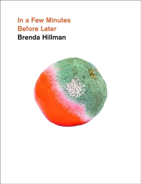 In a Few Minutes Before Later by Brenda Hillman 9780819500151