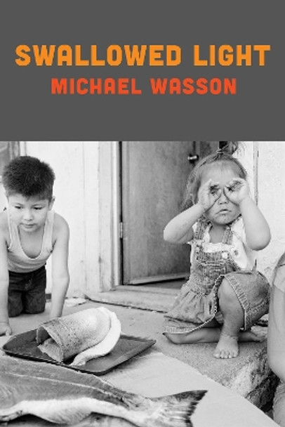 Swallowed Light by Michael Wasson 9781556596001