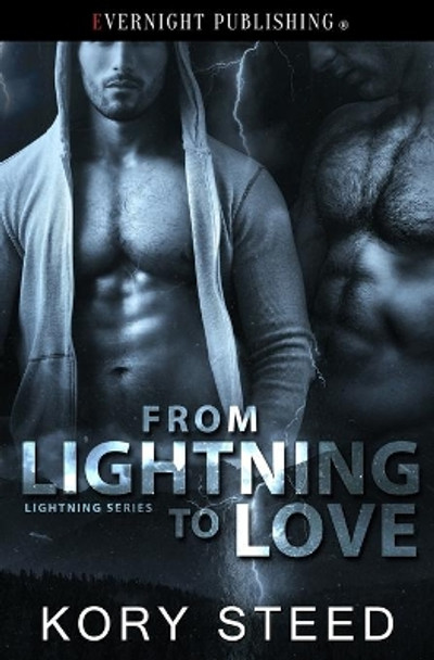 From Lightning to Love by Kory Steed 9780369500359