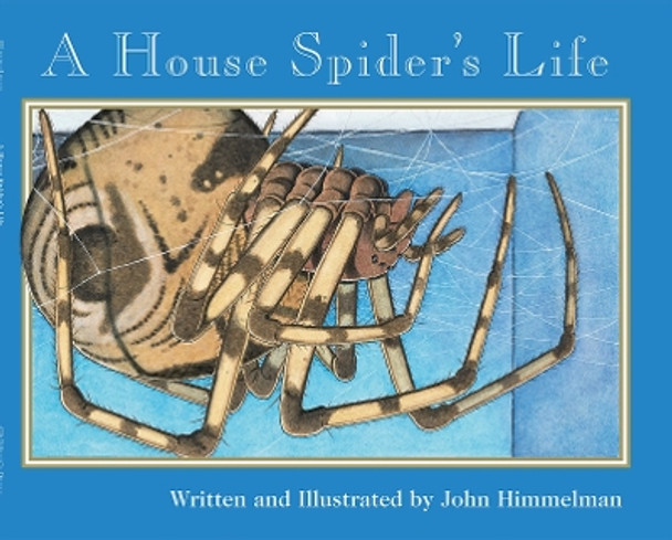 A House Spider's Life (Nature Upclose) by John Himmelman 9780516265360