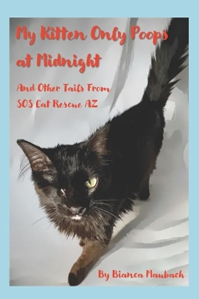 My Kitten Only Poops at Midnight: And Other Tails from SOS Cat Rescue AZ by Todd Cohen 9780578618937