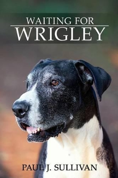 Waiting For Wrigley by Paul J Sullivan 9780692272060