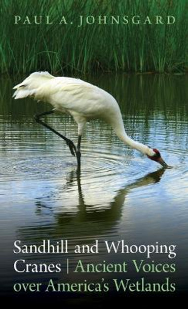 Sandhill and Whooping Cranes: Ancient Voices over America's Wetlands by Paul A. Johnsgard 9780803234963