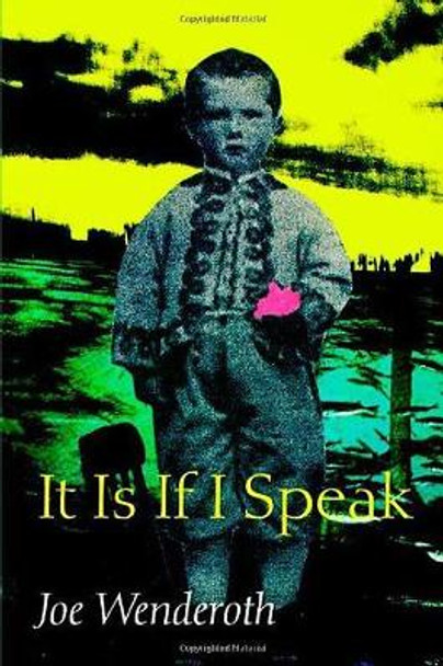 It Is If I Speak by Joe Wenderoth 9780819563903