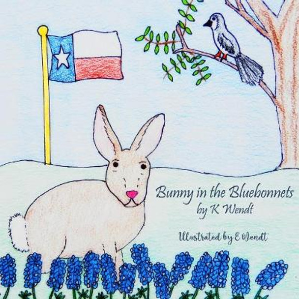 Bunny in the Bluebonnets by K Wendt 9780996752947