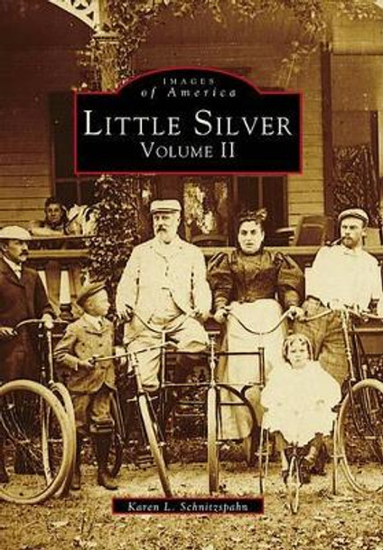 Little Silver by Karen L. Schnitzspahn 9780738563596