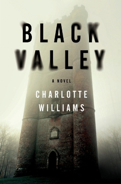 Black Valley by Charlotte Williams 9780062371263