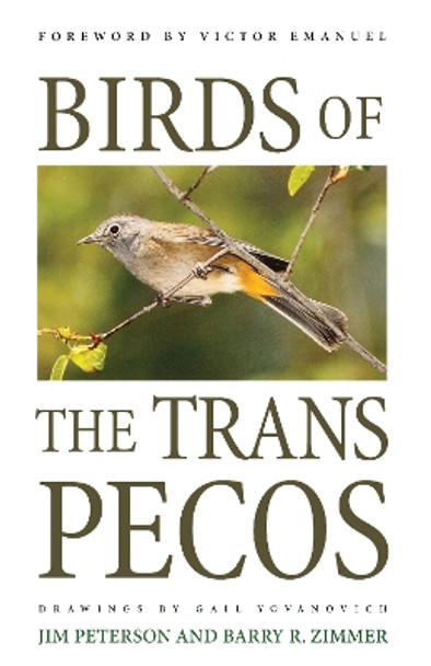 Birds of the Trans-Pecos by Jim Peterson 9780292765849